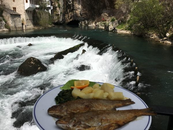 blagaj-alperenler-tekkesi-alabalık